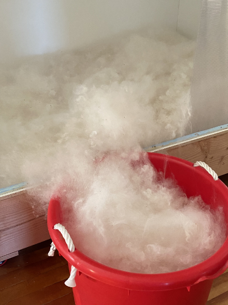 white picked fiber being removed from the catch box into a plastic bucket