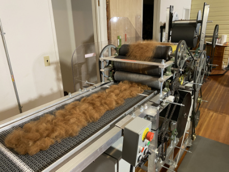 brown fiber on conveyor belt of carder machine being carded through multiple drums